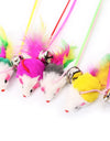 Fishy feathers funny cats toys