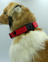 Pet For Up Nylon Solid Dog Collar Glow