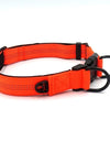 Pet For Up Nylon Solid Dog Collar Glow