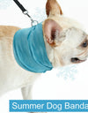 Instant Cooling Dog Scarf for Pet