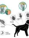 Pets Dog Cat Pest Fleas Control Reject Collars