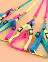 Pet Colorful rainbow chest-back traction belt