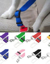 Dog collar and Seat Belt Lead Clip