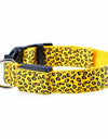 Rhinestone chain dog collar led light Leopard Style