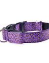 Rhinestone chain dog collar led light Leopard Style
