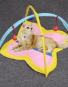 Cat In-Outdoor Pet Hammock Bed and Toy