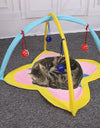 Cat In-Outdoor Pet Hammock Bed and Toy
